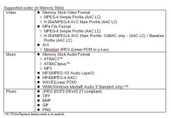 PSP CODEC